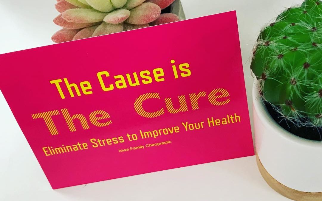 The Cause is the Cure: Eliminate Stress to Improve Health